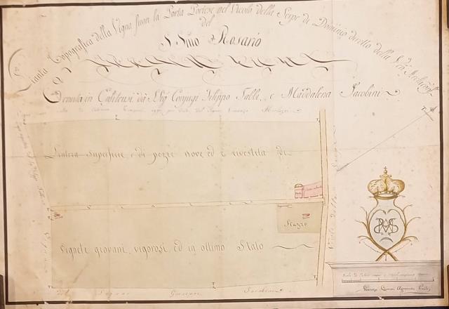 Pianta topografica della Vigna fuori la Porta Portese nel Vicolo …