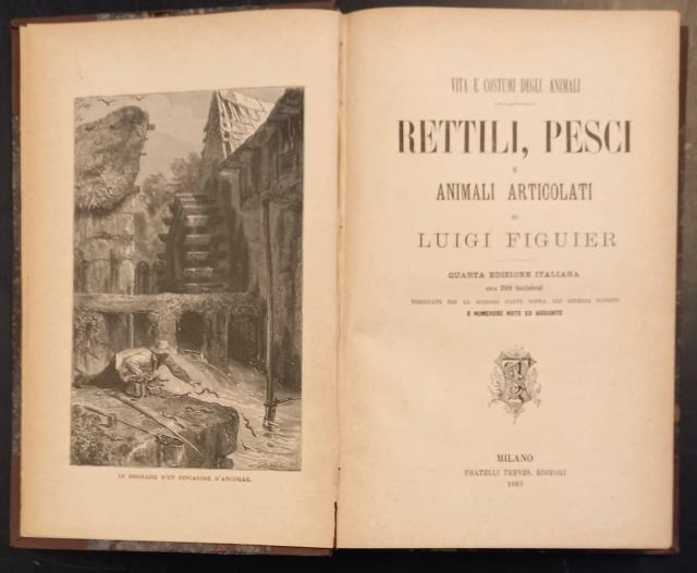 RETTILI, PESCI E ANIMALI ARTICOLATI. Quarta edizione italiana con 299 …