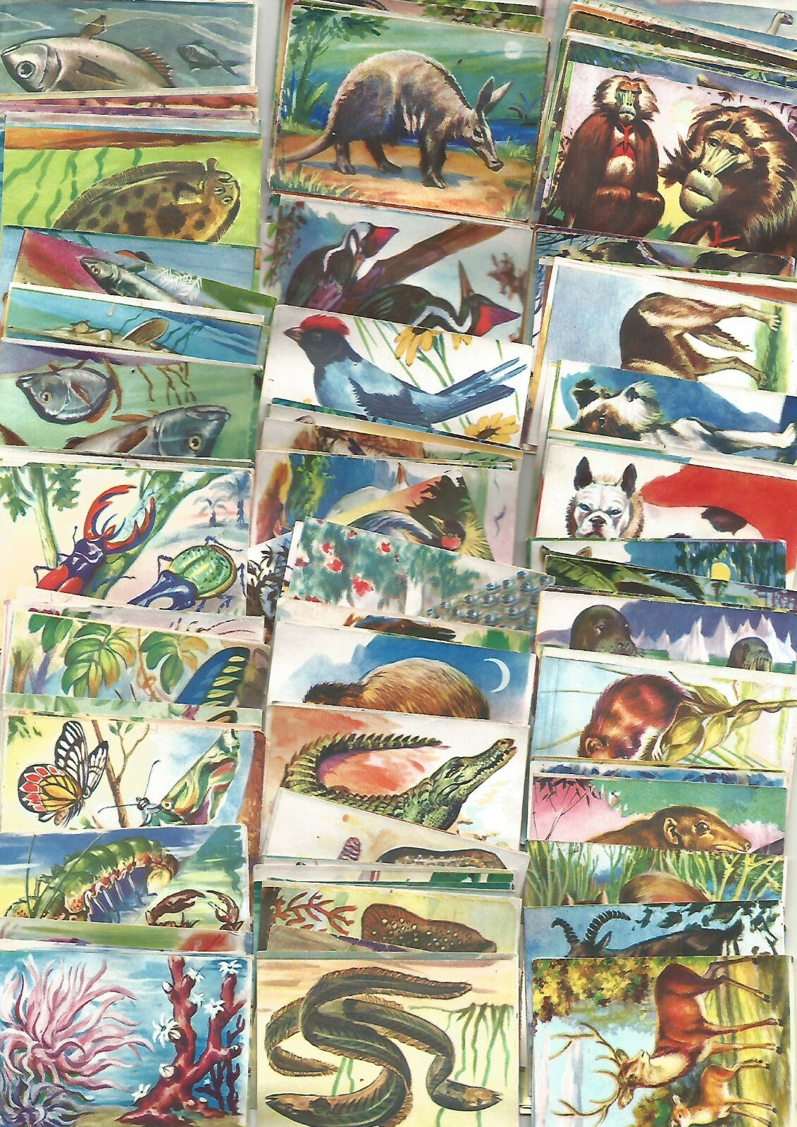 136 FIGURINE ANIMALI LAMPO 1952 DIFFERENTI da recupero no album