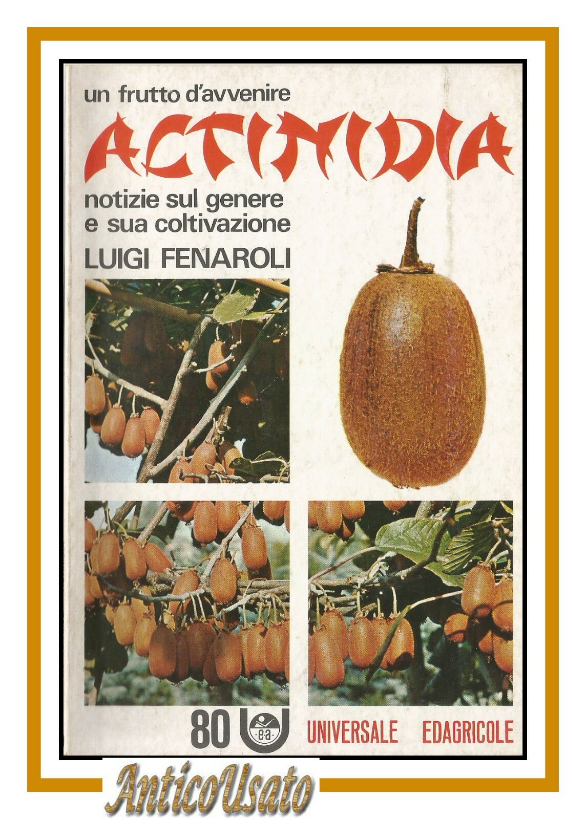 ACTINIDIA un frutto d’avvenire di Luigi Fenaroli kiwi 1982 Universale …