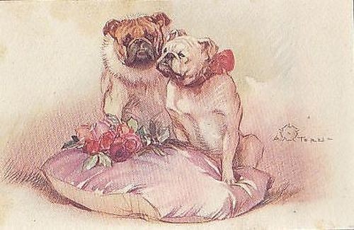 ALEARDO TERZI CANI BULL DOG SERIE 450-3 Cartolina Vintage Illustrata …