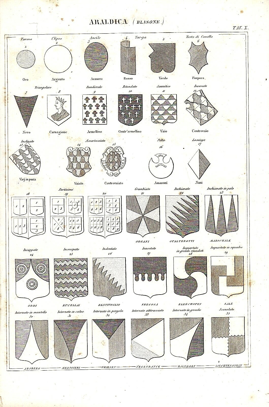 ARALDICA BLASONI STAMPA 1866 Tavola Antica Original Parma Clipeo Ancile …