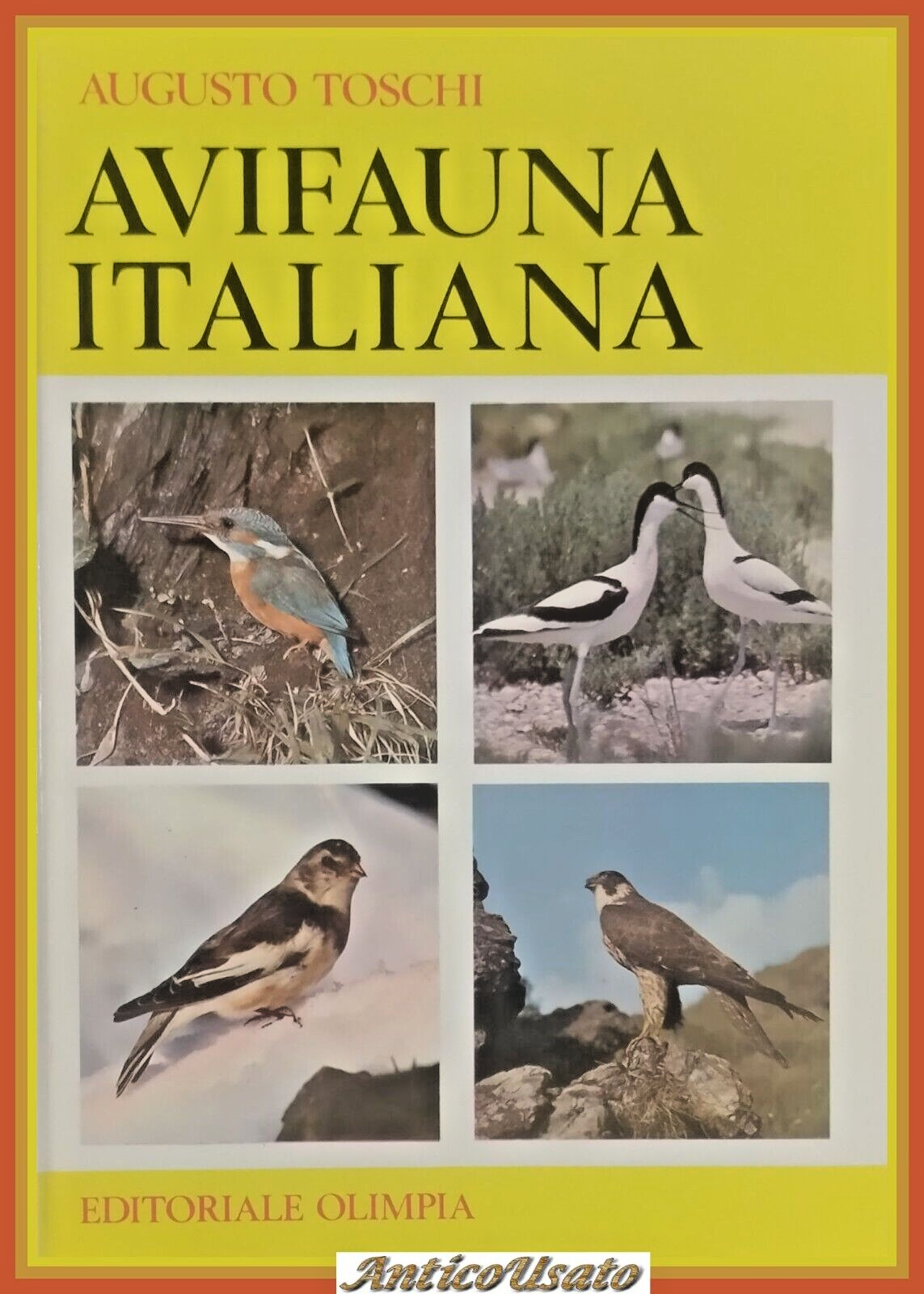 AVIFAUNA ITALIANA di Augusto Toschi 1969 editoriale Olimpia Libro caccia …