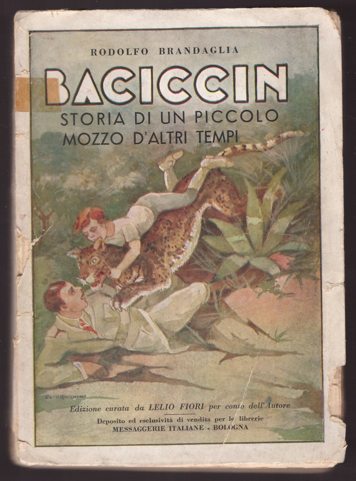BACICCIN storia di un piccolo mozzo di altri tempi - …