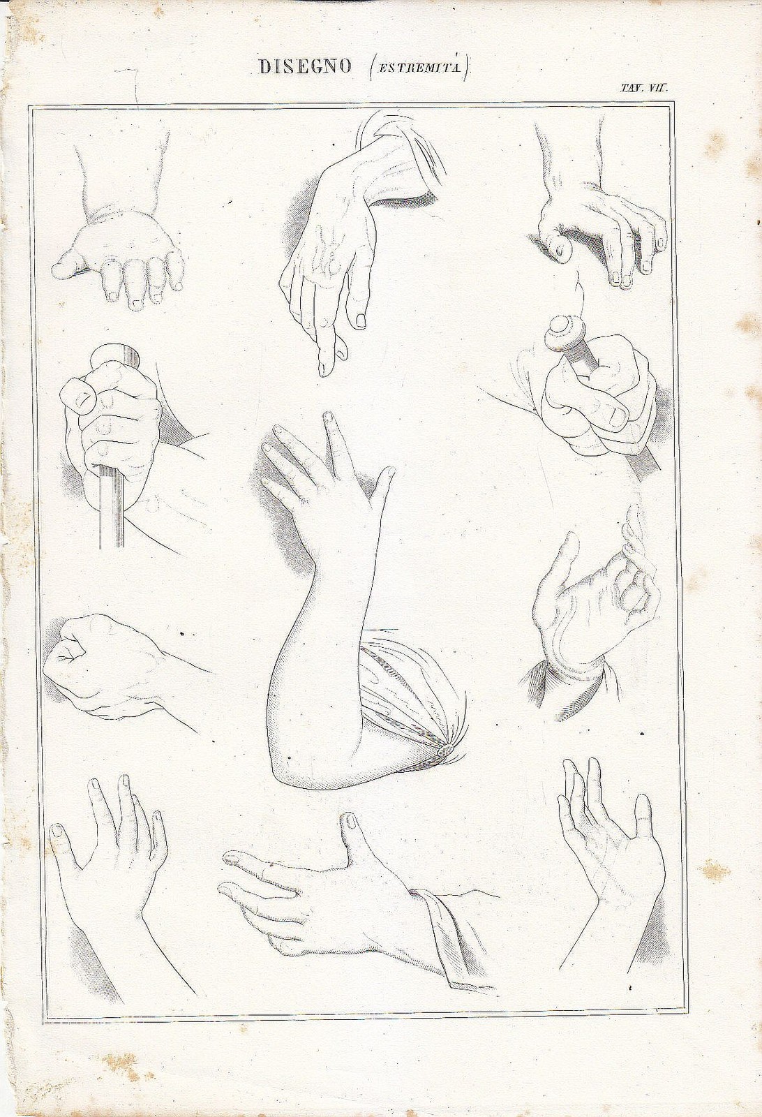 Belle Arti Disegno estremità mani braccia INCISIONE STAMPA 1866 da …
