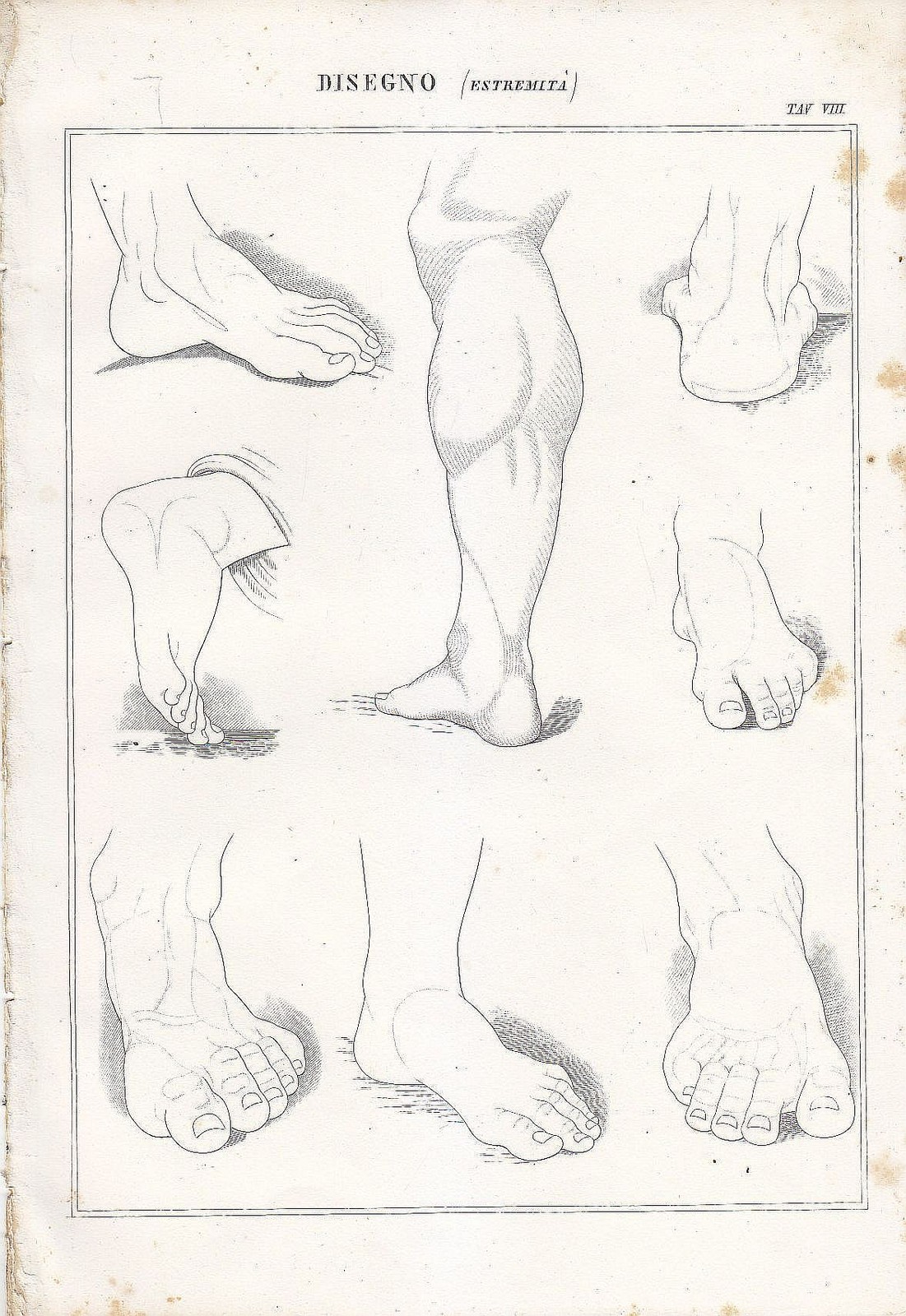 BELLE ARTI Disegno estremità piedi polpacci INCISIONE STAMPA 1866 senza …