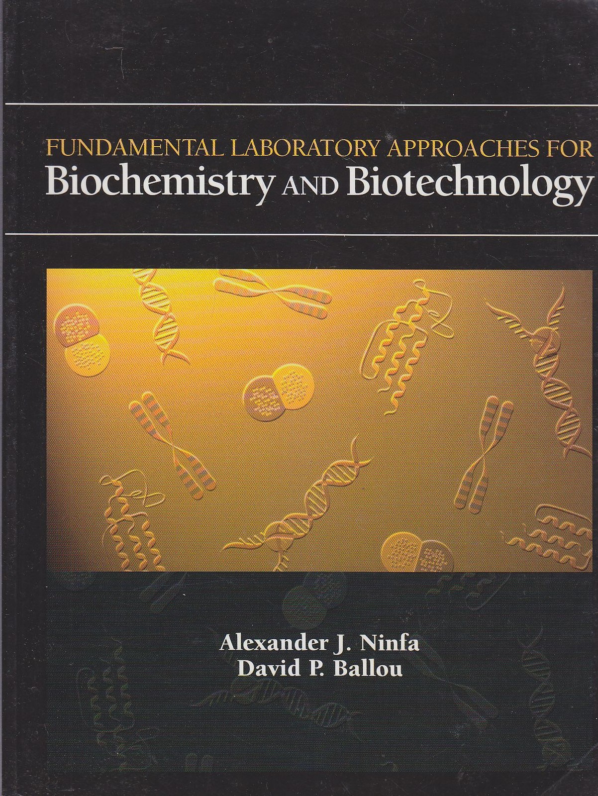 BIOCHEMISTRY AND BIOTECHNOLOGY FUNDAMENTAL LABORATORY APPROACHES di Ninfa Ballou