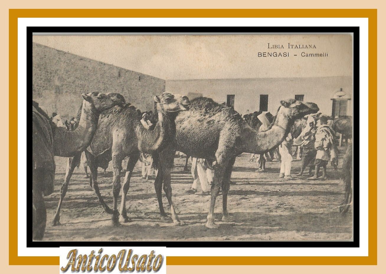 Cartolina Bengasi Cammelli 1916 Libia Italiana Originale Vintage postcard Guerra