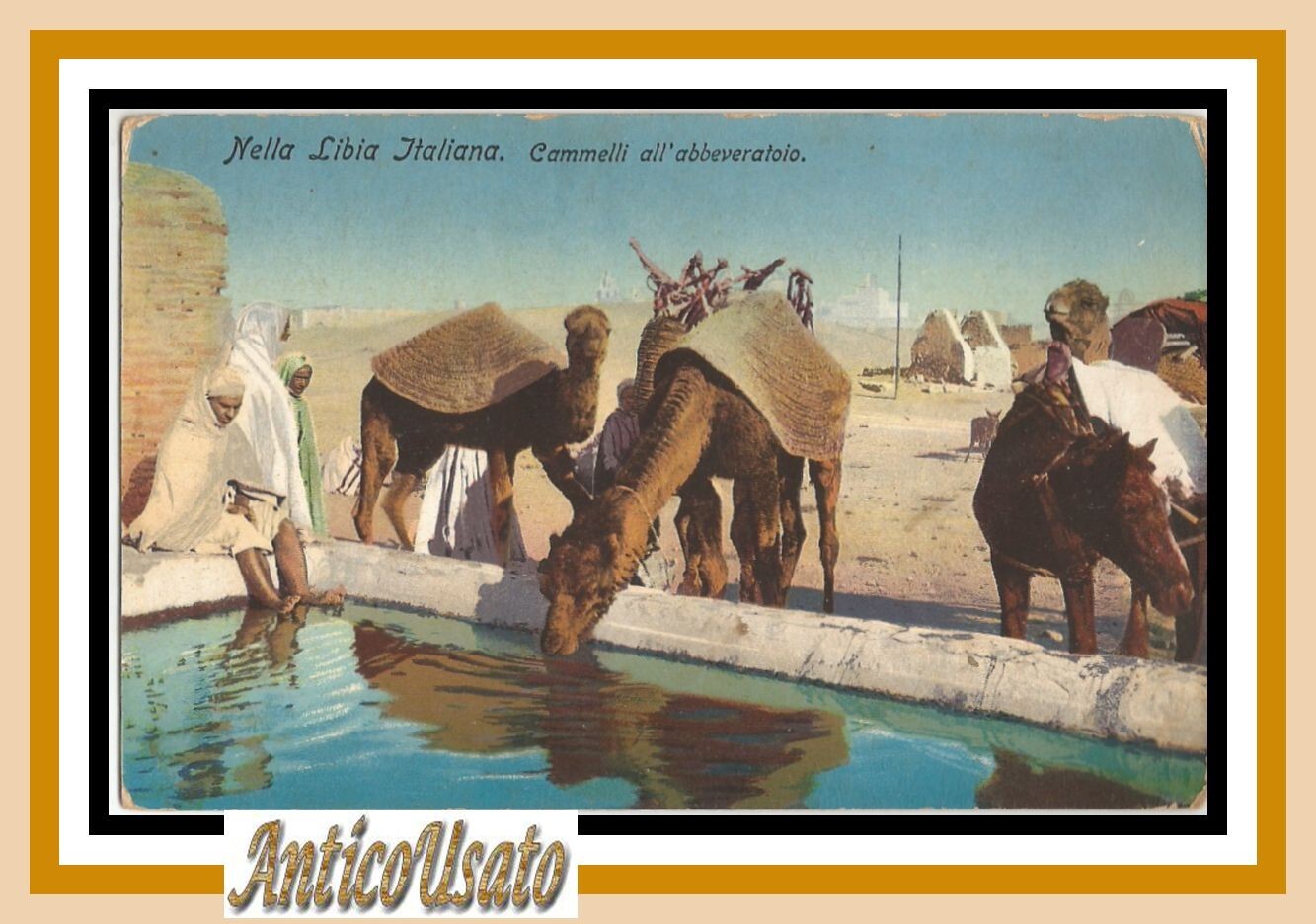 Cartolina Cammelli all'abbeveratoio '1916 Nella Libia Italiana Vintage postcard