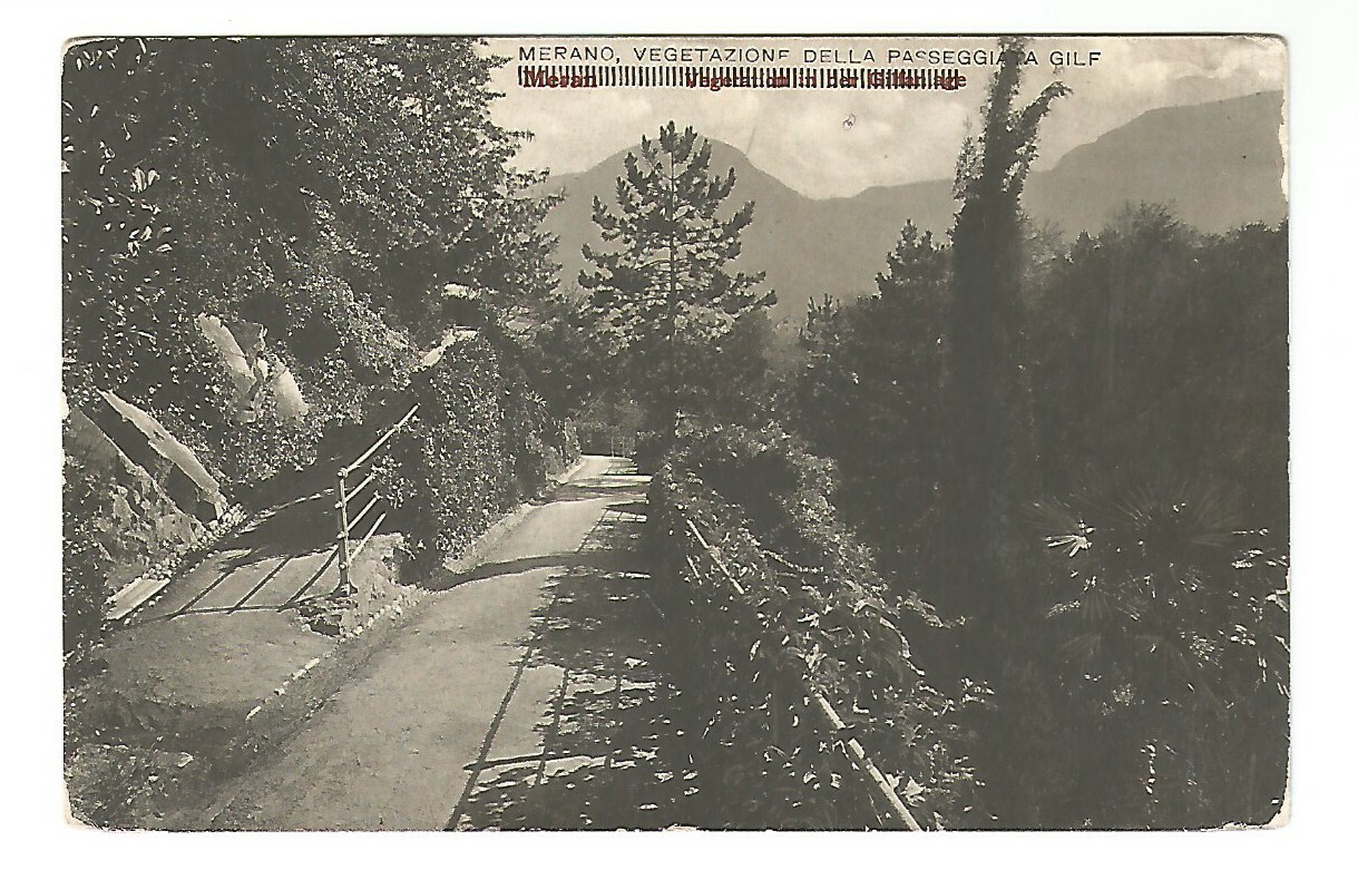 CARTOLINA Merano vegetazione della passeggiata gilf 1925 Vintage Postcard Carte