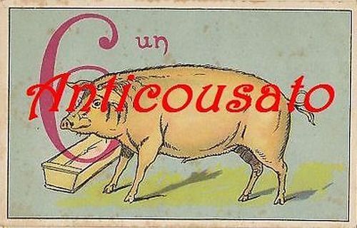 Cartolina SEI UN PORCO - Originale ANNI '20 Umoristica Vintage …