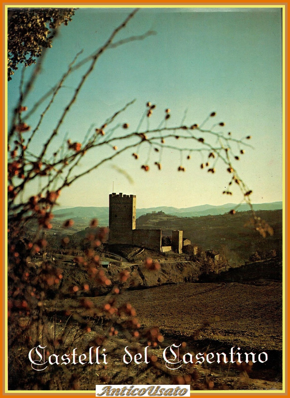CASTELLI DEL CASENTINO di Alfio Scarini 1977 Centrostampa Libro illustrato