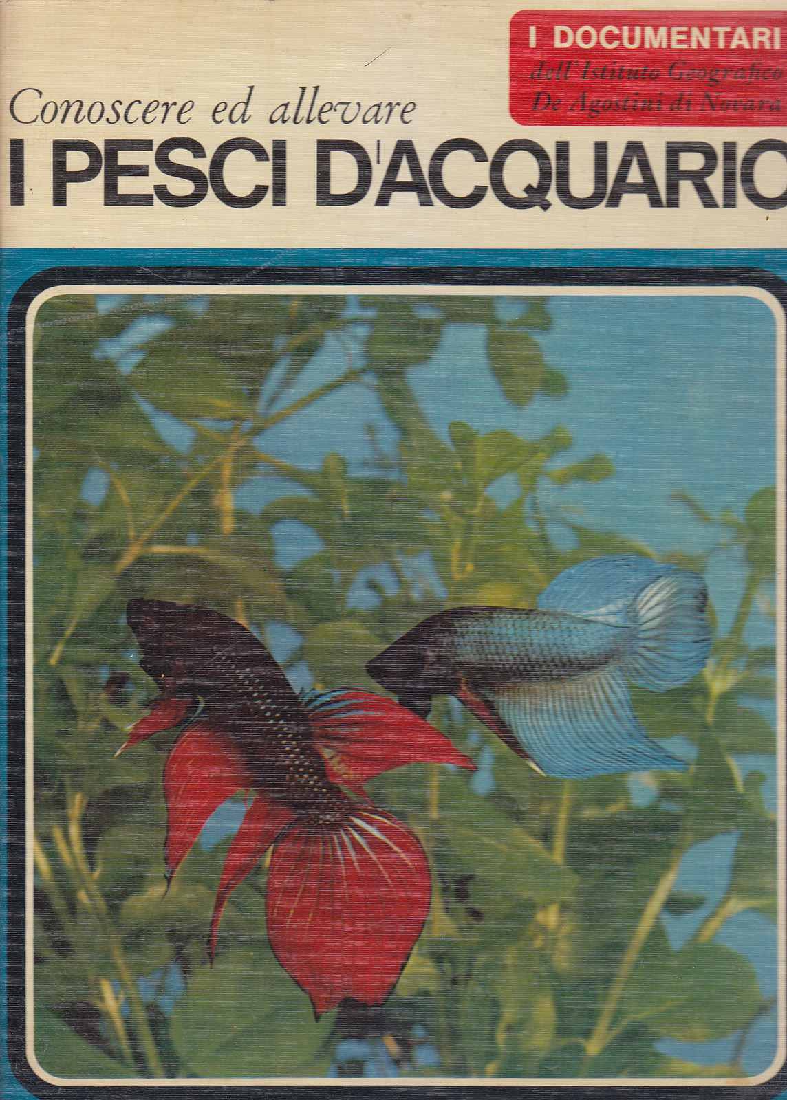 CONOSCERE E ALLEVARE I PESCI D ACQUARIO di Elso Lodi …