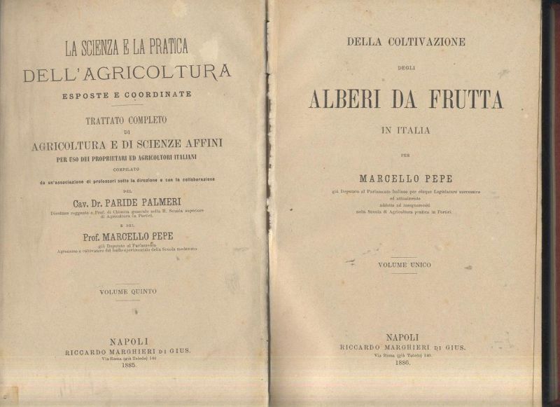 DELLA COLTIVAZIONE DI ALBERI DA FRUTTA IN ITALIA Marcello Pepe …