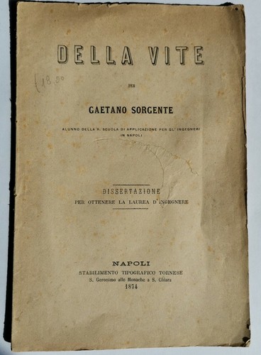 DELLA VITE di Gaetano Sorgente tesi di lauera in ingegneria …