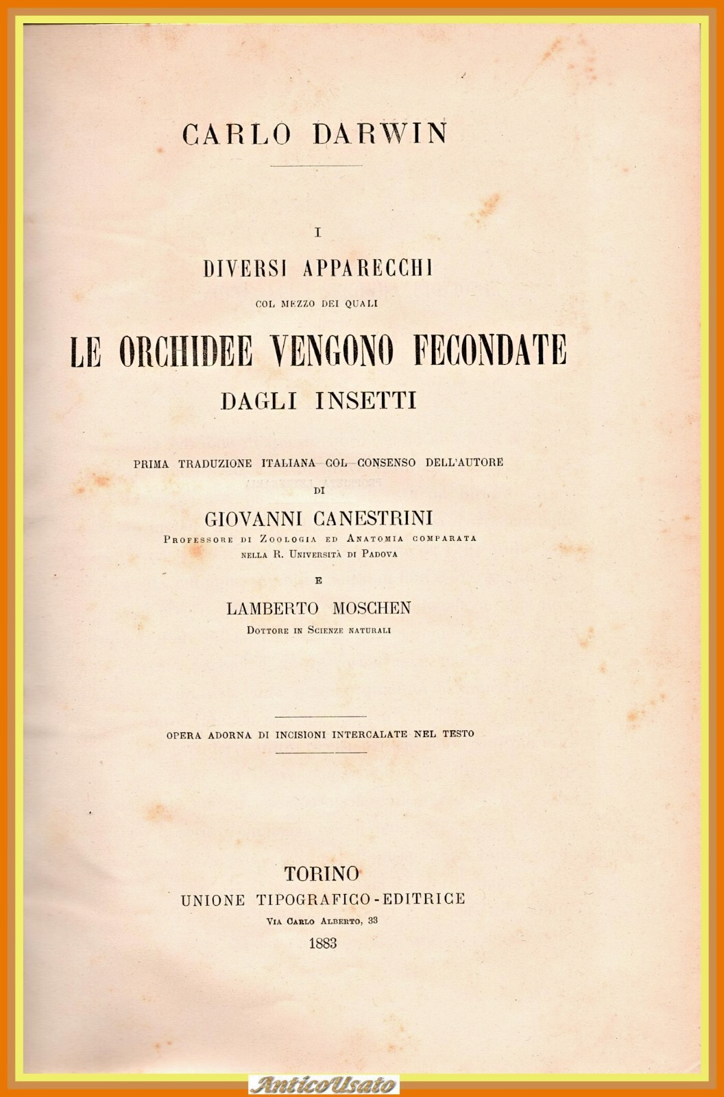 DIVERSI APPARECCHI ORCHIDEE FECONDATE DAGLI INSETTI di C Darwin 1883 …