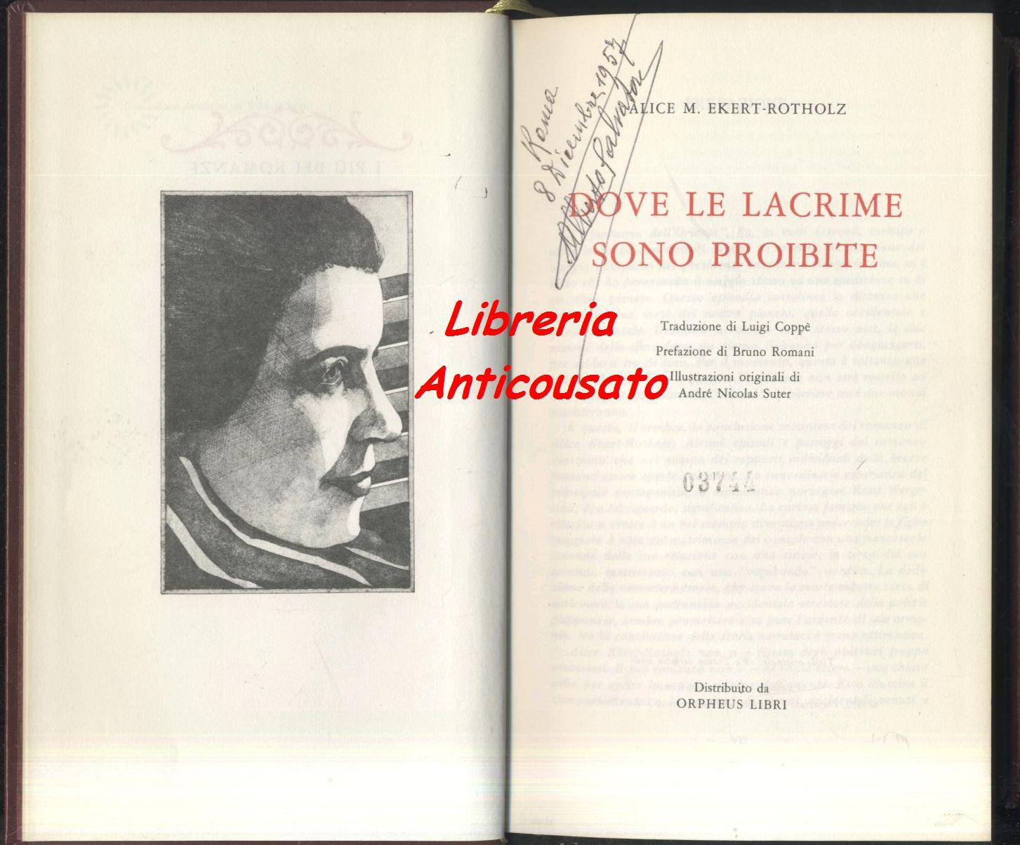 DOVE LE LACRIME SONO PROIBITE di Alice M Ekert Rotholz …