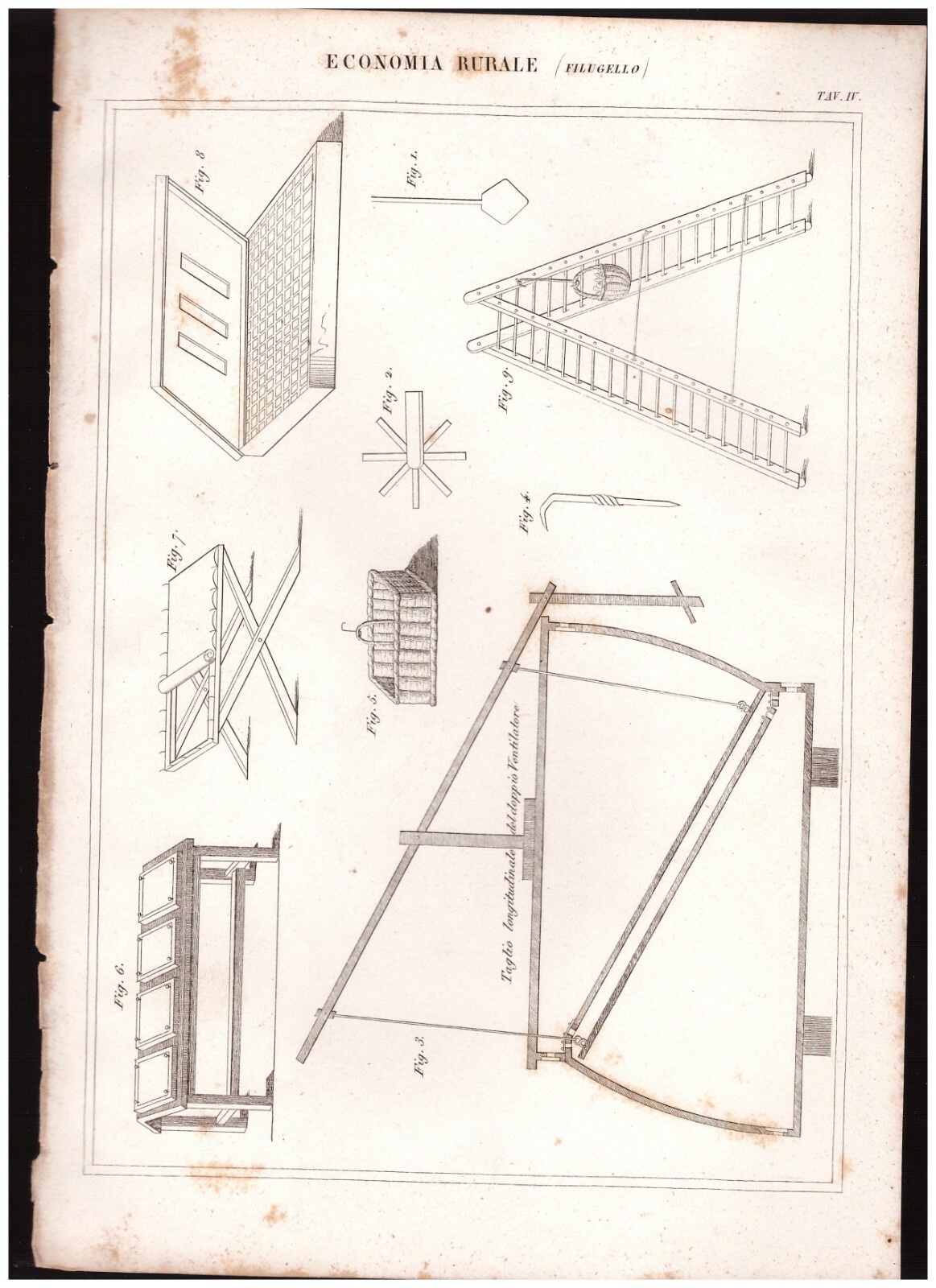 ECONOMIA RURALE Filugello tavola IV INCISIONE STAMPA RAME 1866 disegno