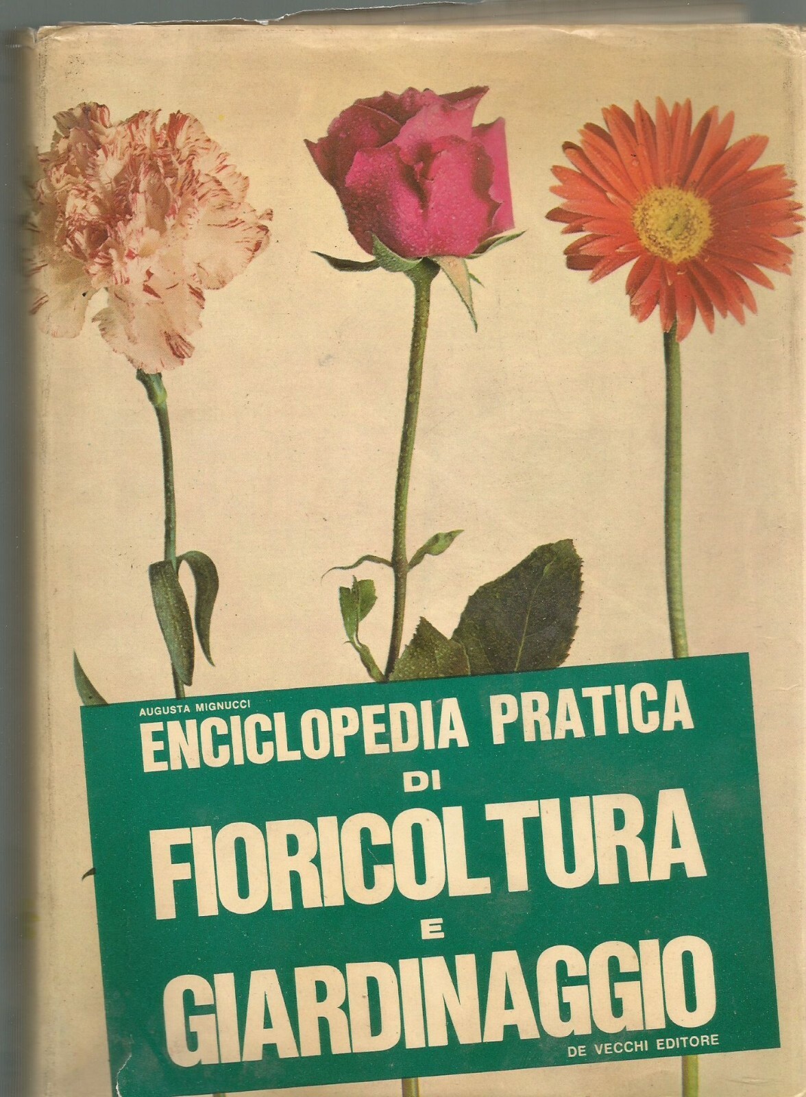 ENCICLOPEDIA PRATICA DI FIORICOLTURA E GIARDINAGGIO di Augusta Mignucci Libro
