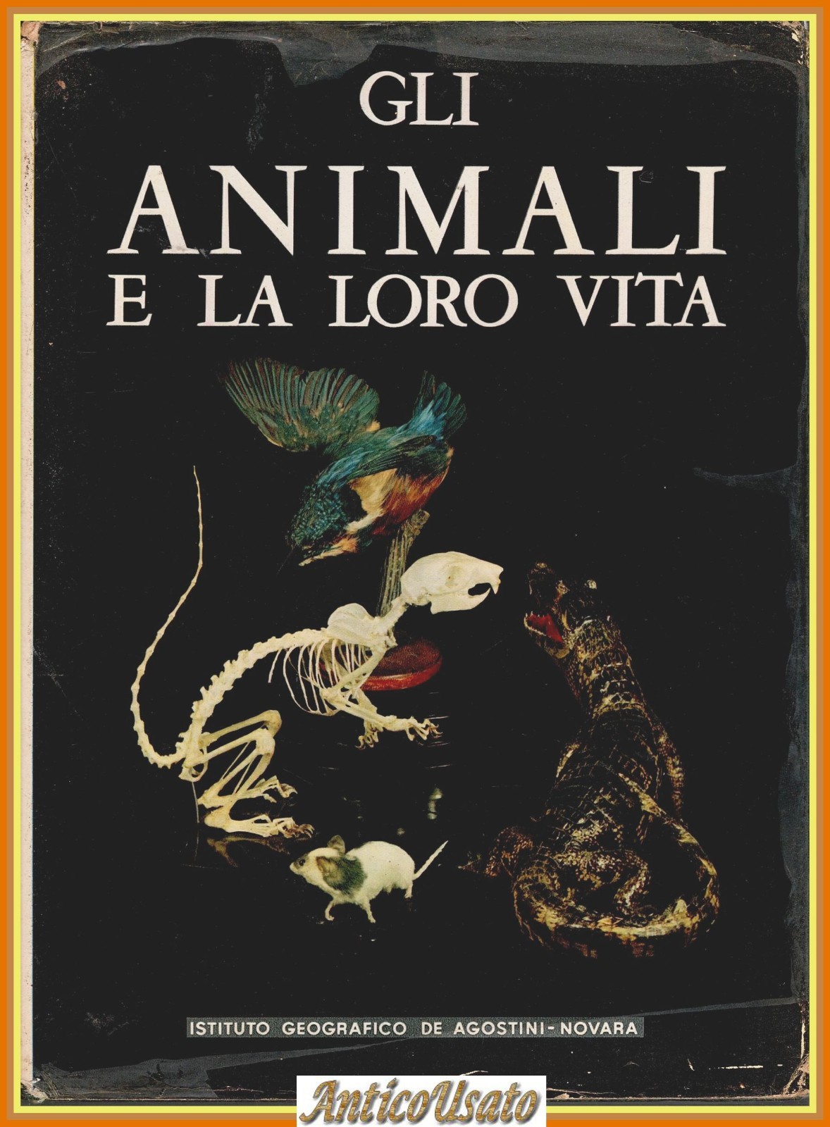 GLI ANIMALI E LA LORO VITA volume 2 di Leon …