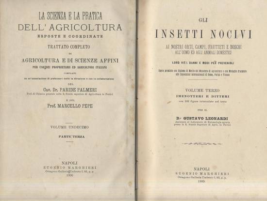 Gli Insetti Nocivi Volume 3 imenotteri ditteri di Agostino Lunardoni …