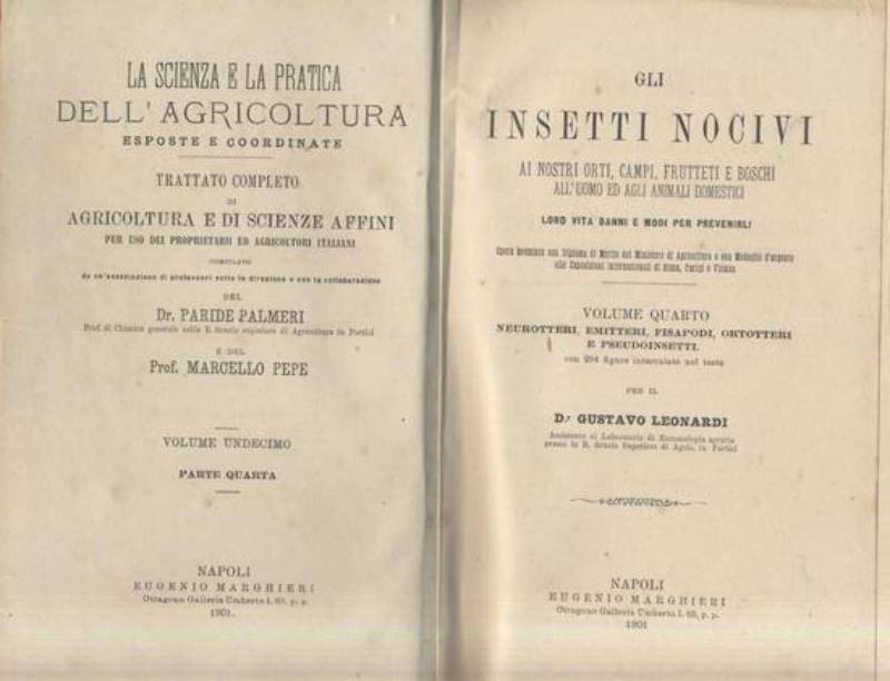 GLI INSETTI NOCIVI Volume IV neurotteri emitteri fisapodi 1901 Marghieri …
