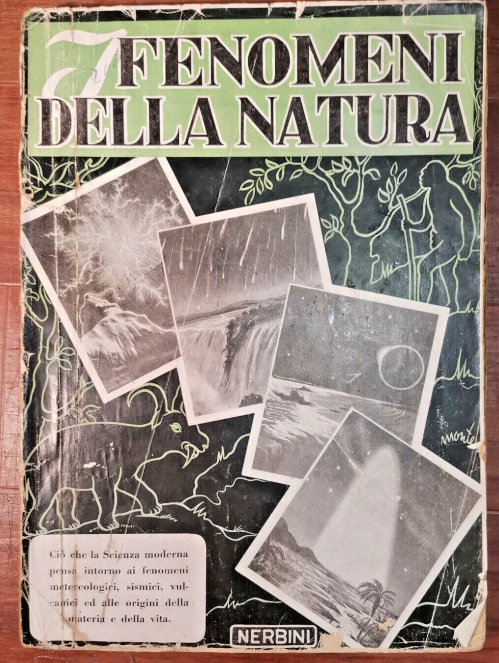 I FENOMENI DELLA NATURA di Italo Del Giudice 1950 Nerbini …