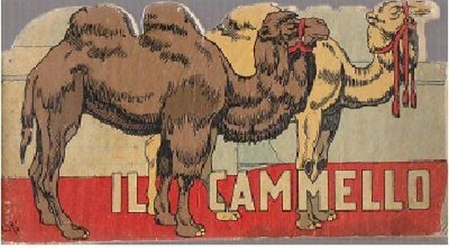 IL CAMMELLO di Ernesto Ambrosi 1941 Tirrenia libro illustrato per …