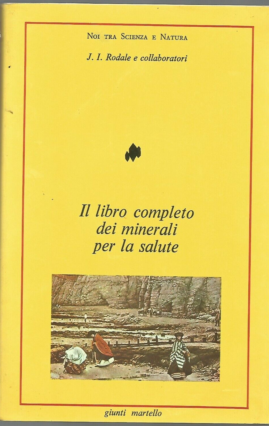 IL LIBRO COMPLETO DEI MINERALI PER LA SALUTE di Rodale …