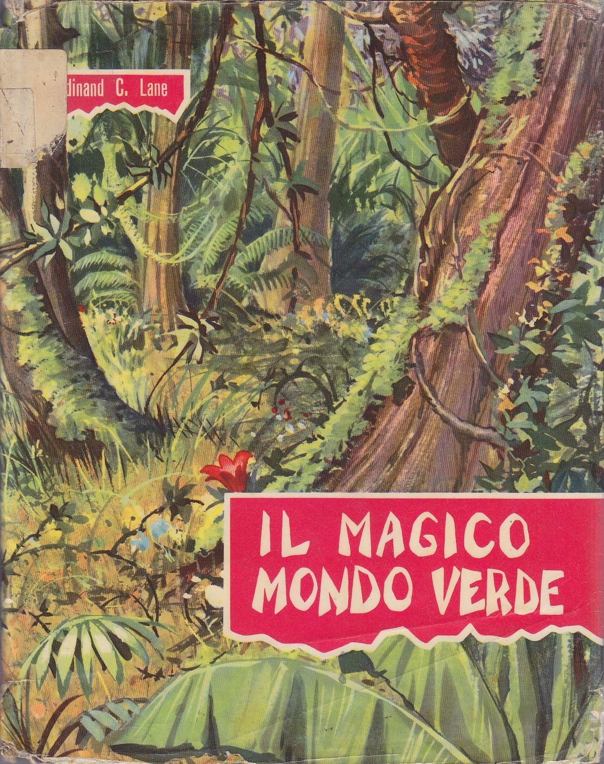 IL MAGICO MONDO VERDE di Ferdinand Lane 1959 Fabbri libro …