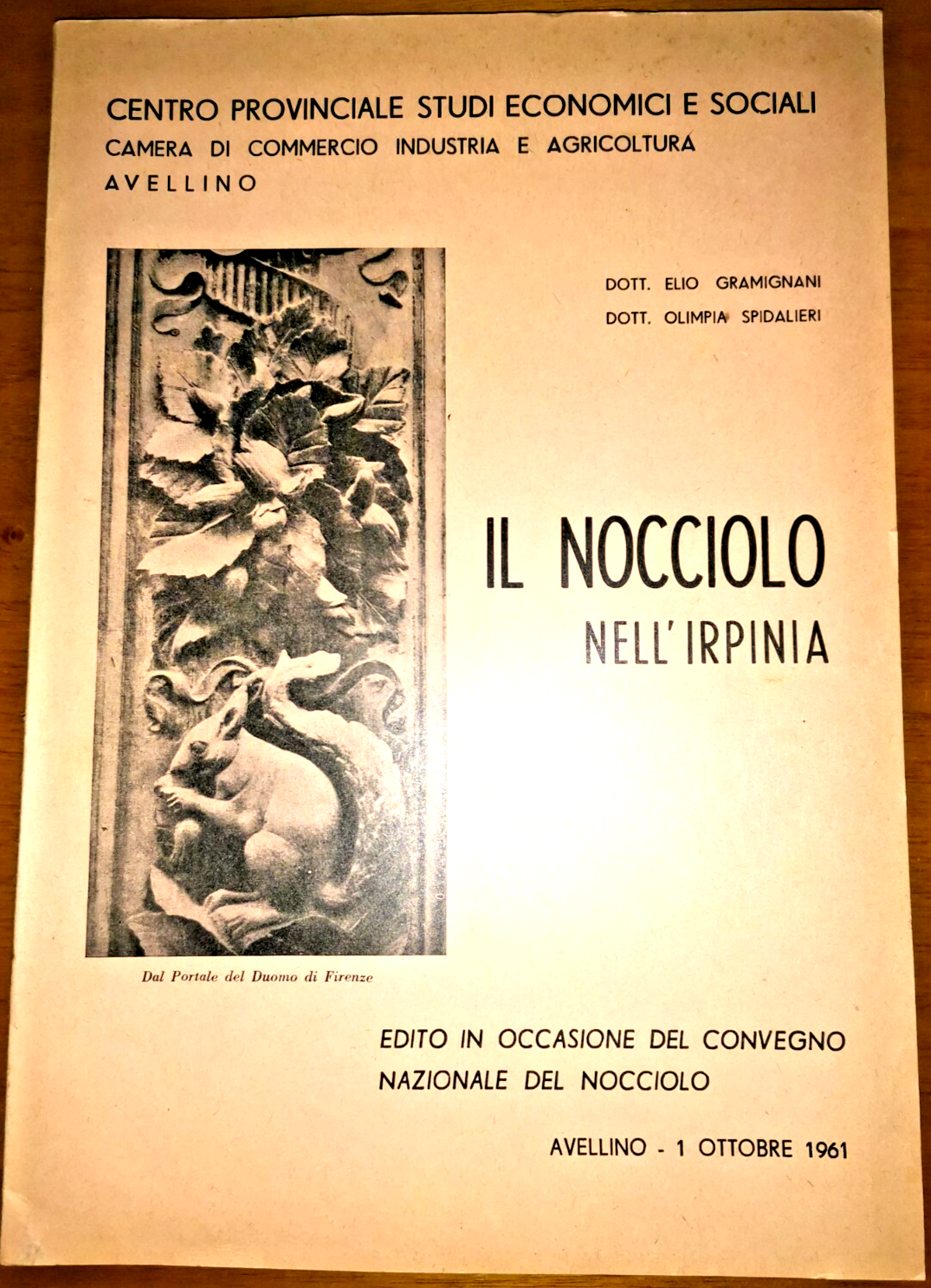 IL NOCCIOLO NELL'IRPINIA Elio Gramignani Olimpia Spidalieri 1961 Avellino Libro
