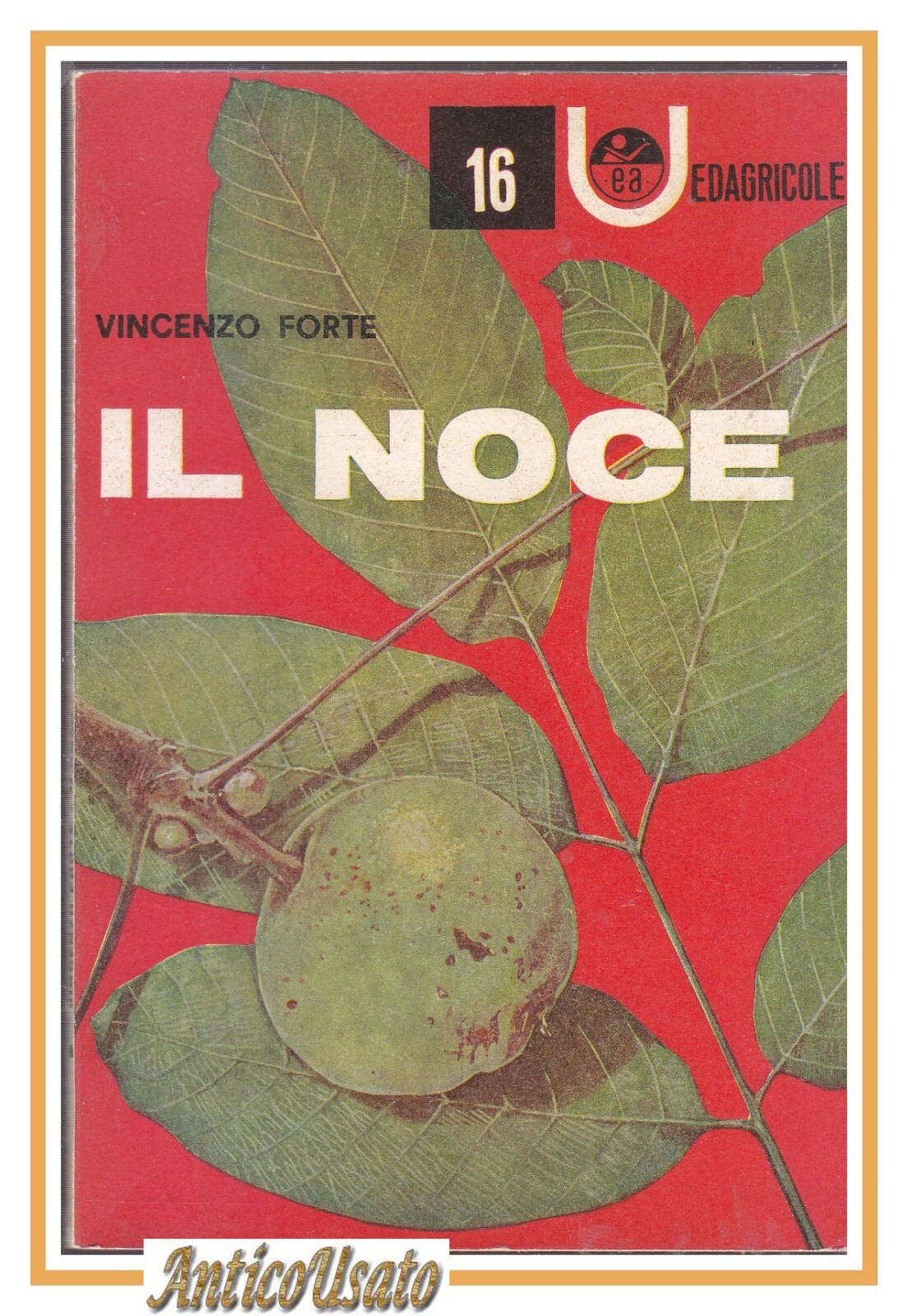 IL NOCE di Vincenzo Forte 1963 Universale Edagricole libro sulla …