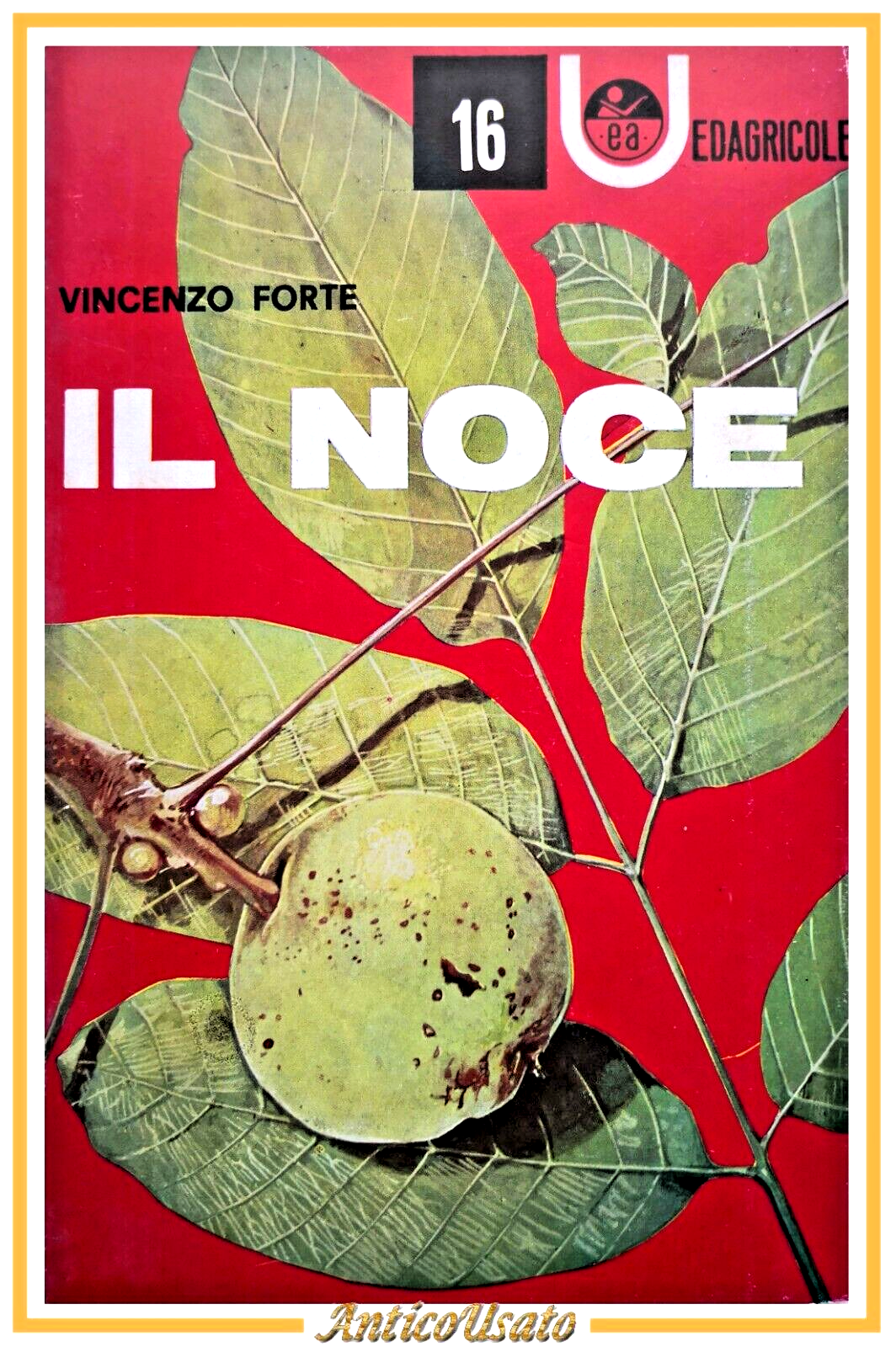 IL NOCE di Vincenzo Forte 1977 Edizioni Agricole libro manuale …