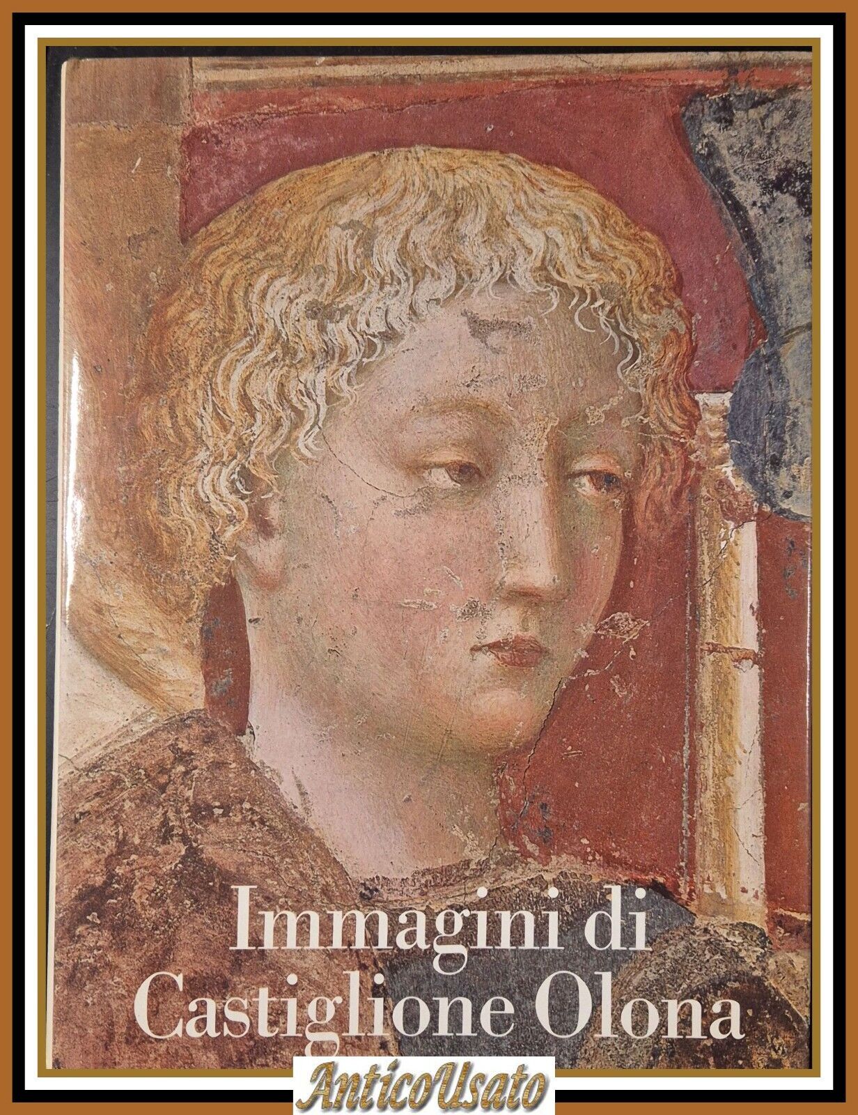 IMMAGINI DI CASTIGLIONE OLONA Cattaneo Dell'Acqua 1976 Cariplo Libro arte