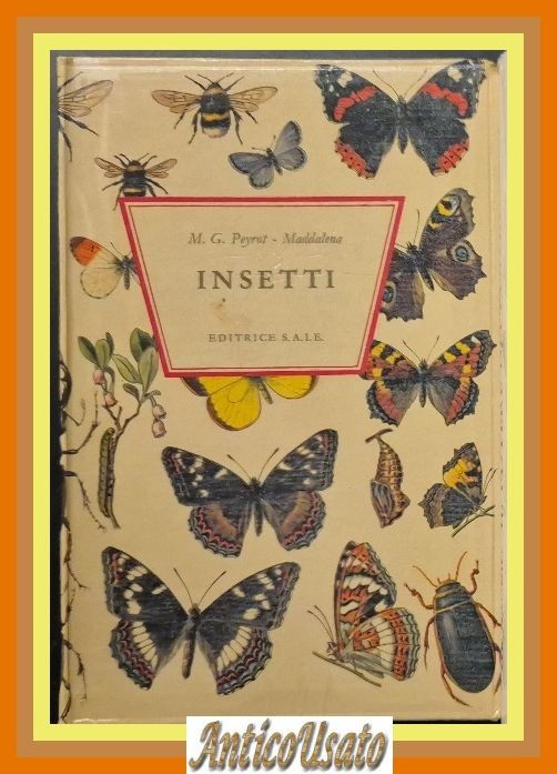 INSETTI di M G Peyrot Maddalena 1970 Editrice S.A.I.E. Libro …