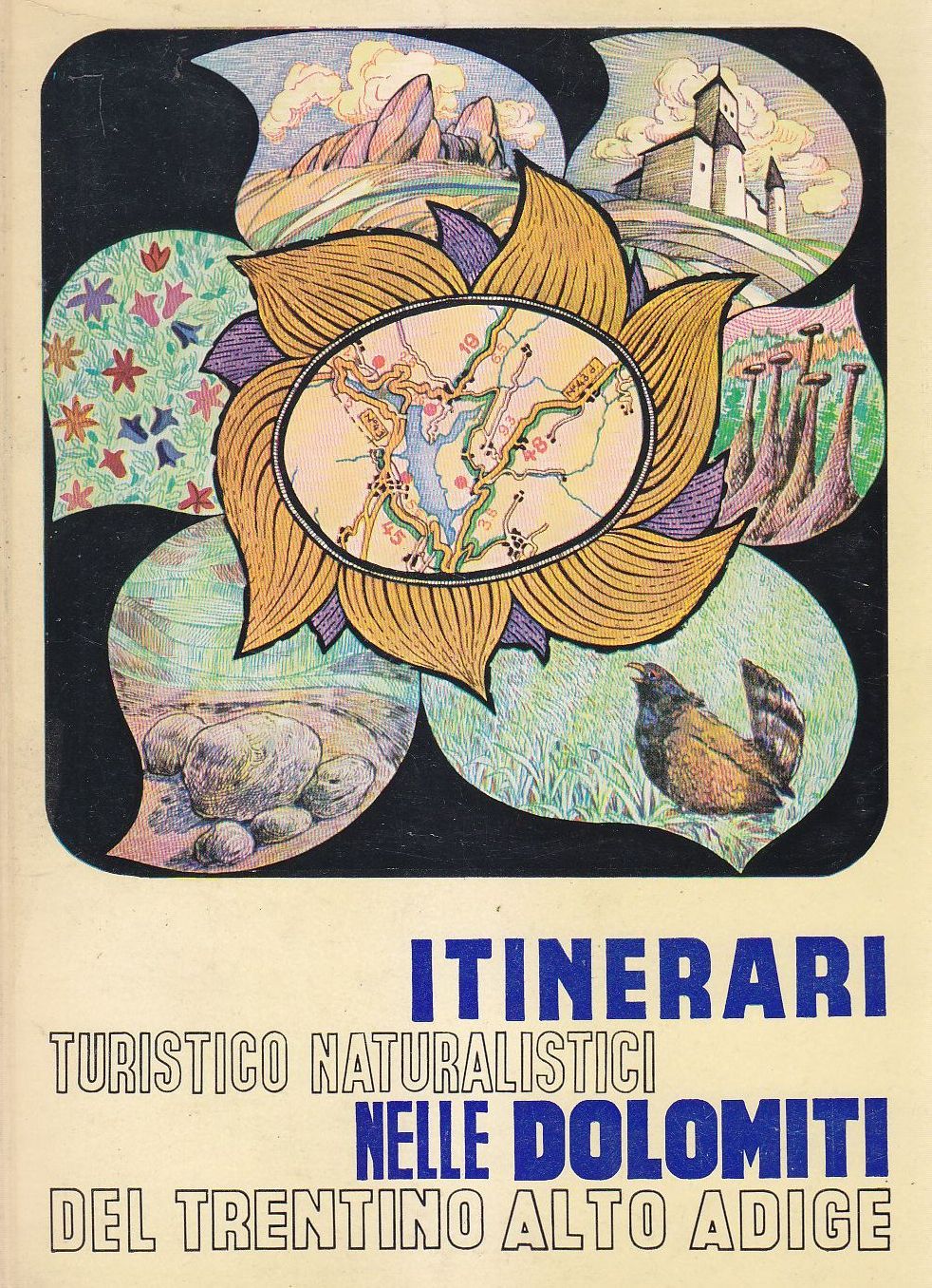 Itinerari Turistico Naturalistici Dolomiti Del Trentino Alto Adige 1967 Libro