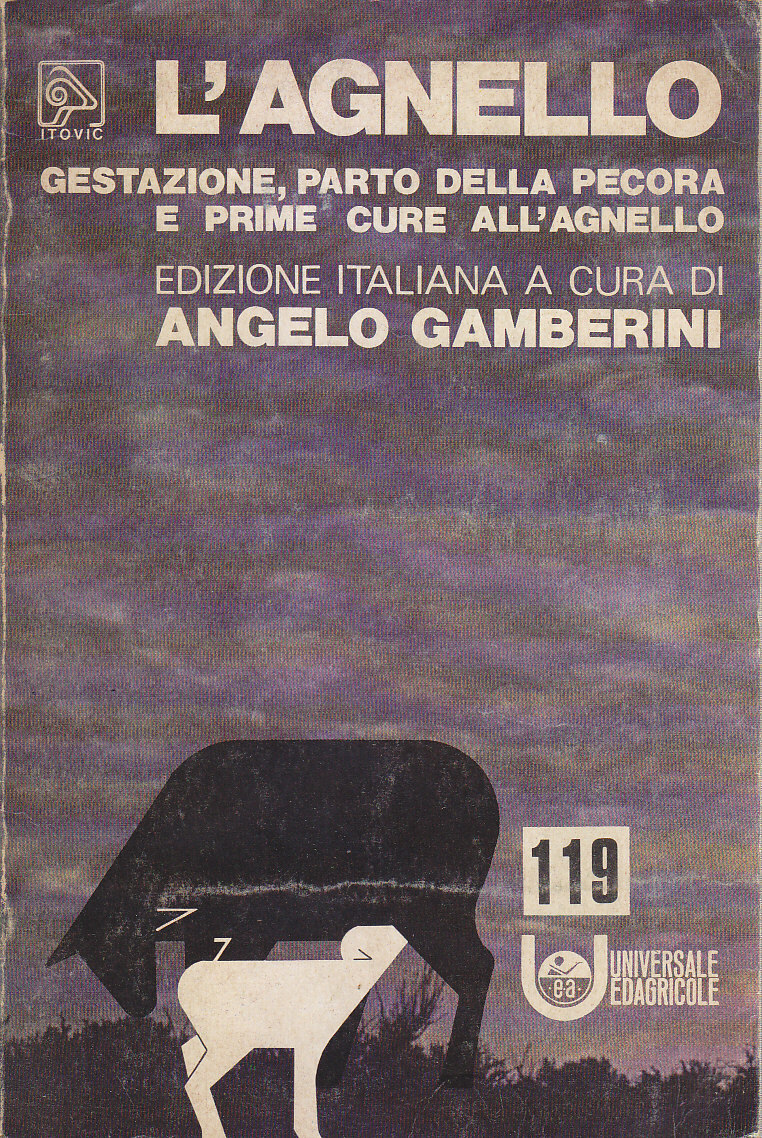 L'AGNELLO gestazione parto della pecora e prime cure di Angelo …