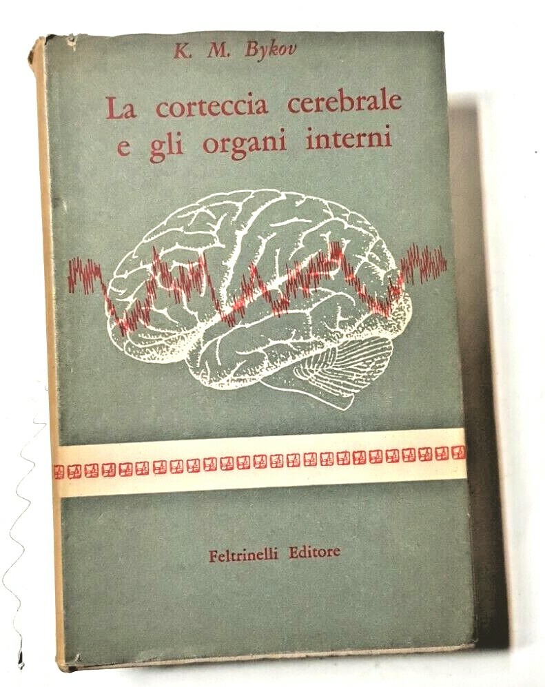 LA CORTECCIA CEREBRALE E GLI ORGANI INTERNI di K M …