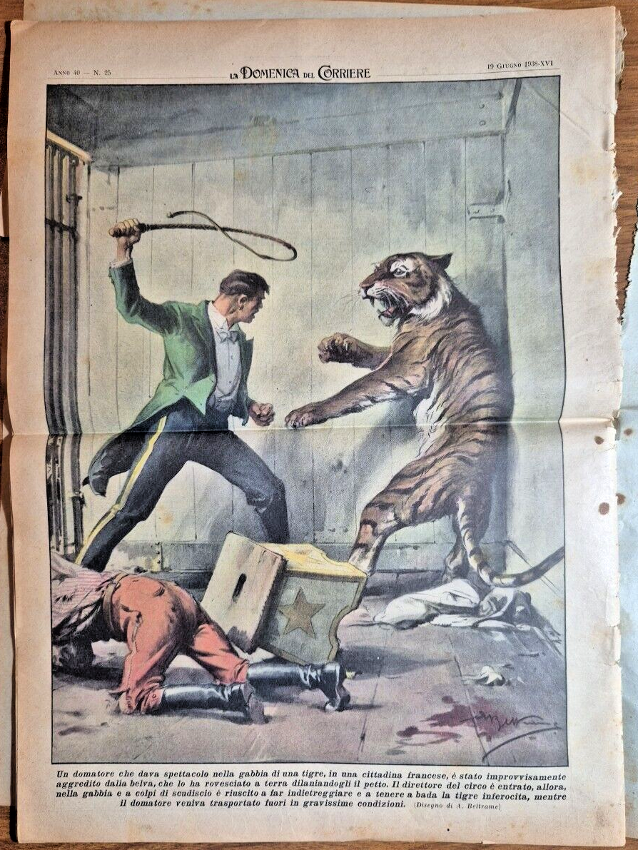 LA DOMENICA DEL CORRIERE 19 giugno 1938 Circo Domatore Tigre …