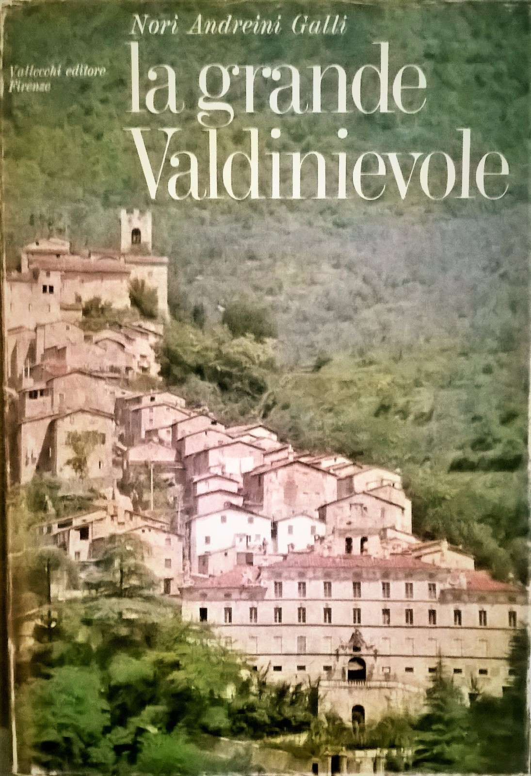LA GRANDE VALDINIEVOLE di Nori Andreini Galli 1970 Vallecchi libro …
