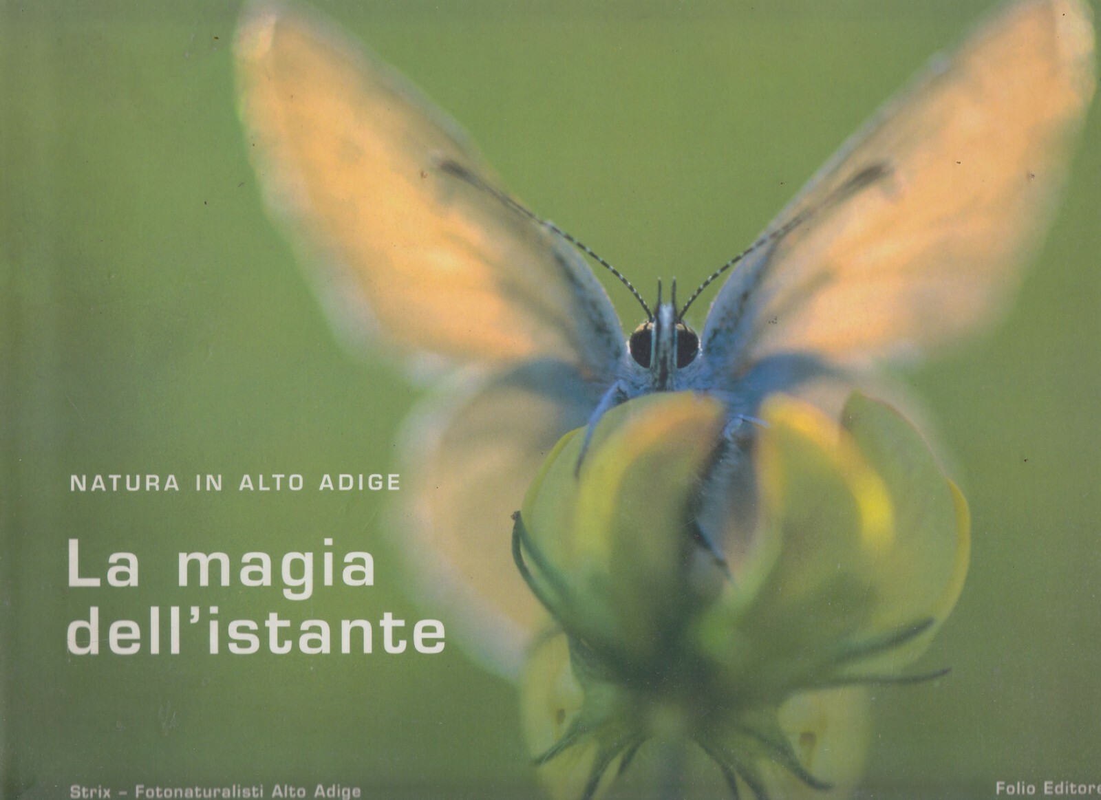 LA MAGIA DELL'ISTANTE NATURA IN ALTO ADIGE strix fotonaturalisti 2003 …