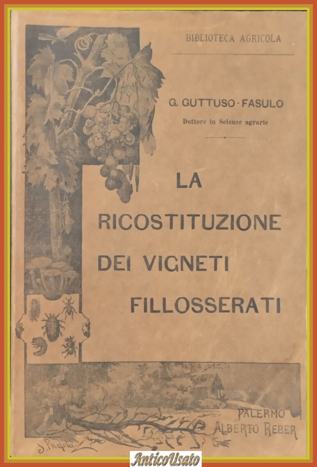 LA RICOSTITUZIONE DEI VIGNETI FILLOSSERATI di Guttuso Fasulo 1906 Reber …