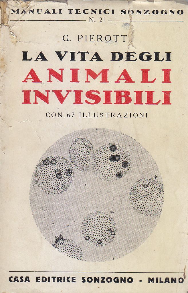 LA VITA DEGLI ANIMALI INVISIBILI di G Pierott 1942 Casa …