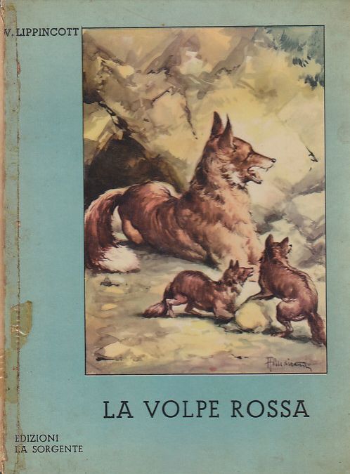 LA VOLPE ROSSA di Lippincot libro illustrato Mariani 1954 La …