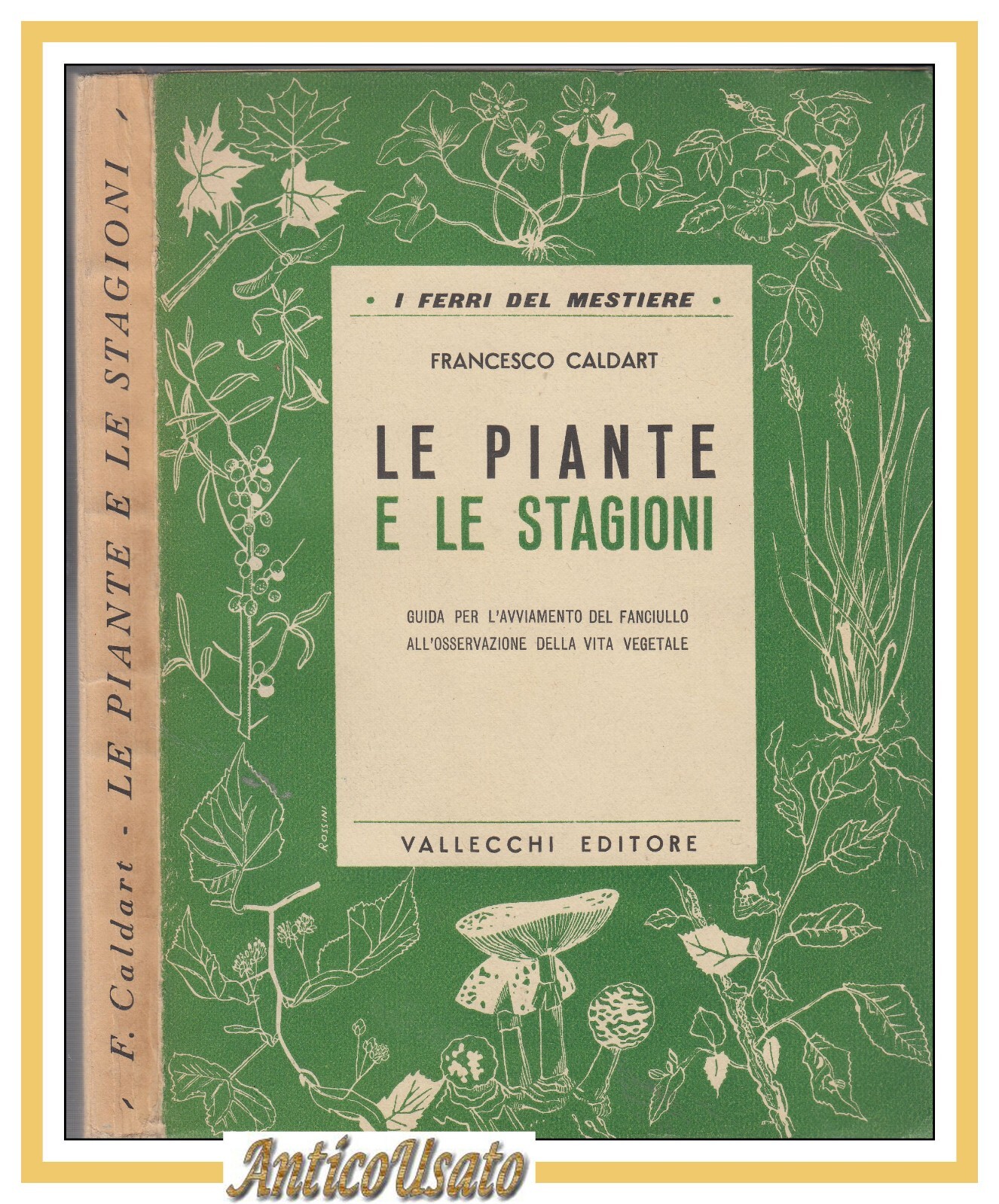 LE PIANTE E LE STAGIONI di Francesco Caldari 1950 Vallecchi …
