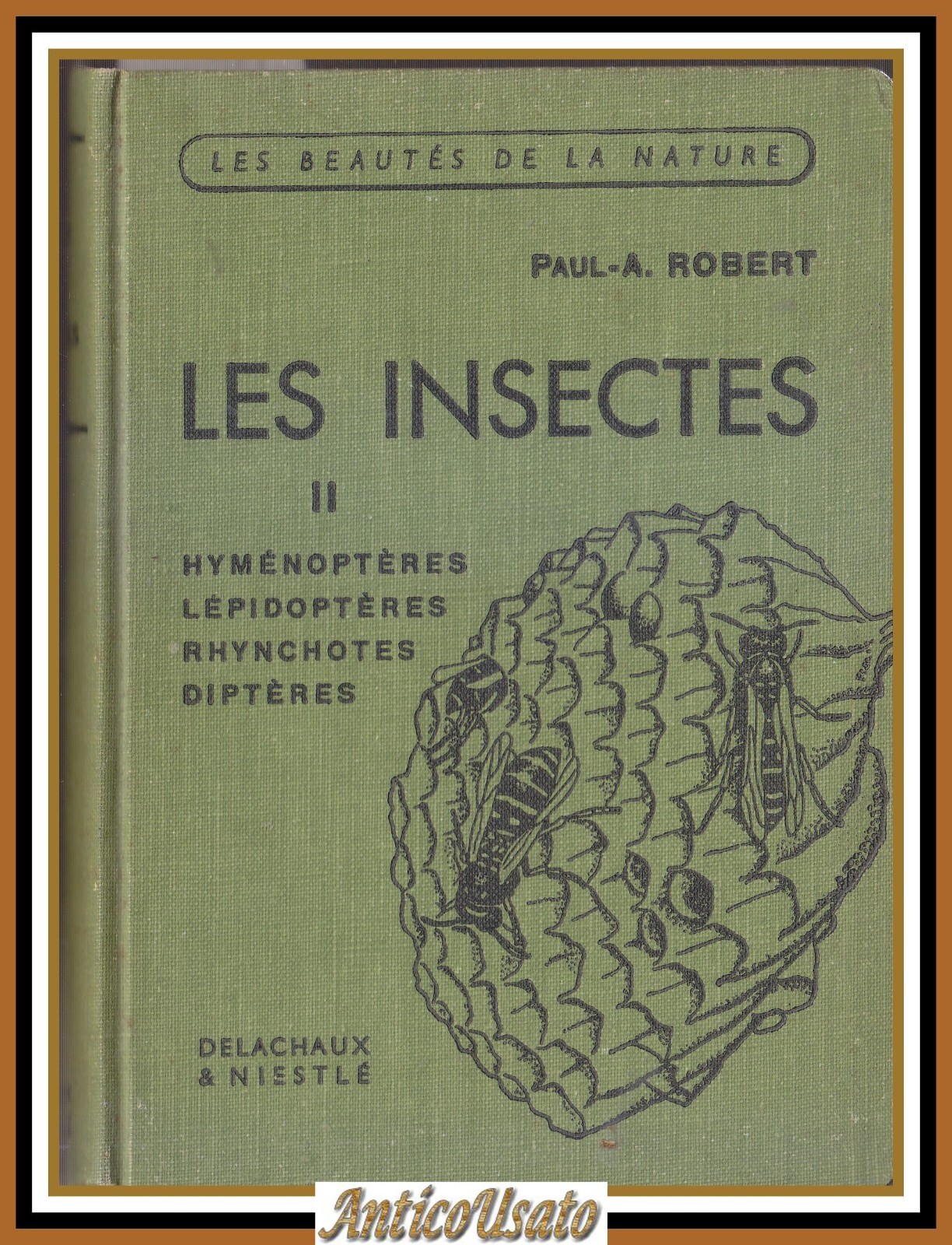 LES INSECTES volume II di Paul Robert Hyménoptères lépidoptères rhynchotes …