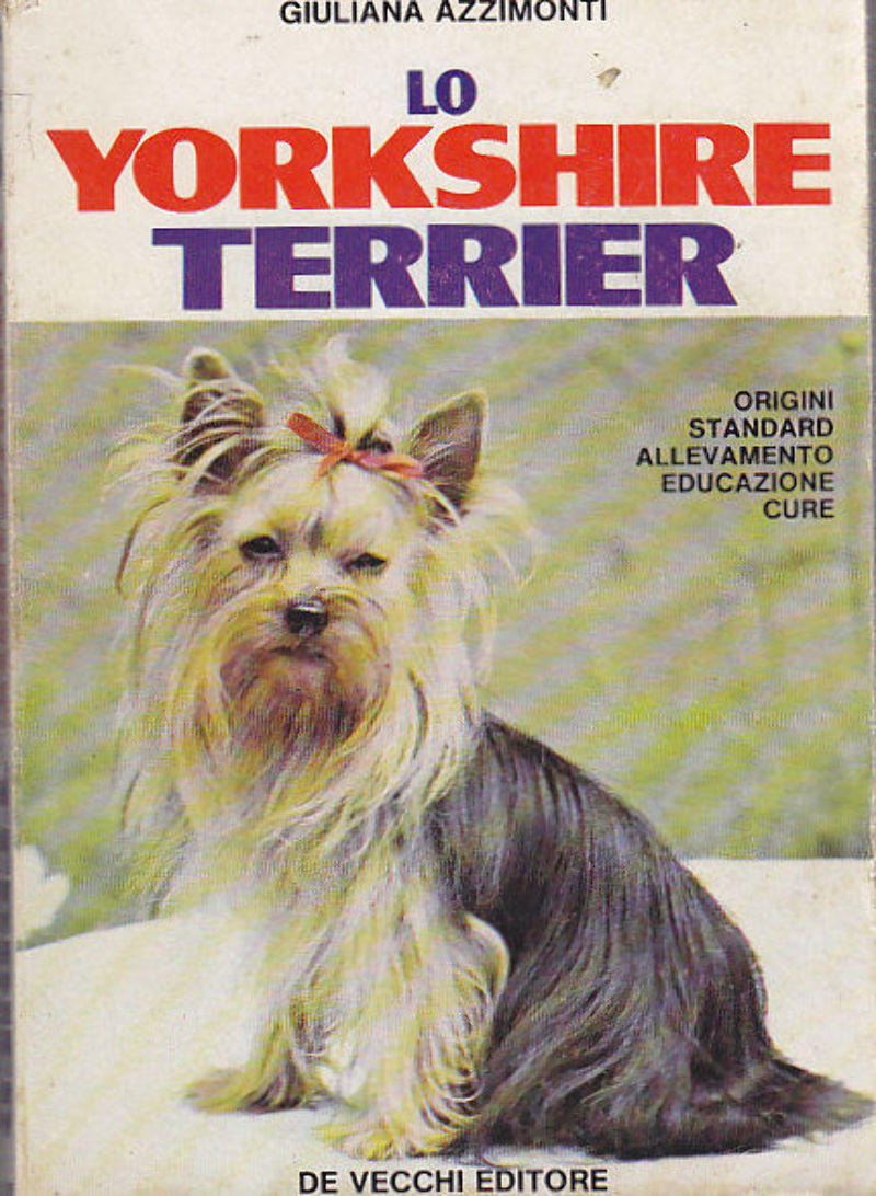 LO YORKSHIRE TERRIER origini standard allevamento educazione cure di Azzimonti