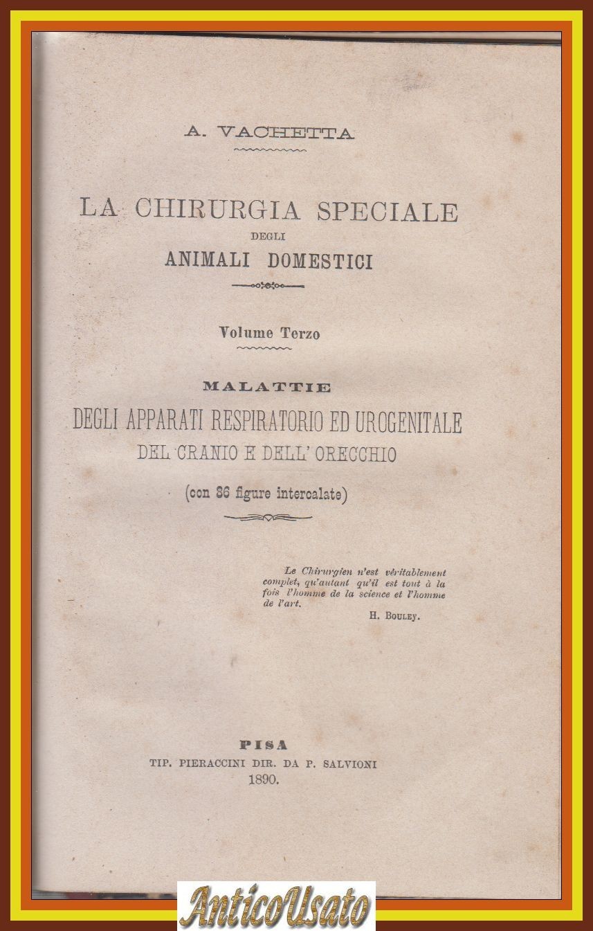 MALATTIE APPARATI RESPIRATORIO UROGENITALE ANIMALI DOMESTICI di Vachetta 1890