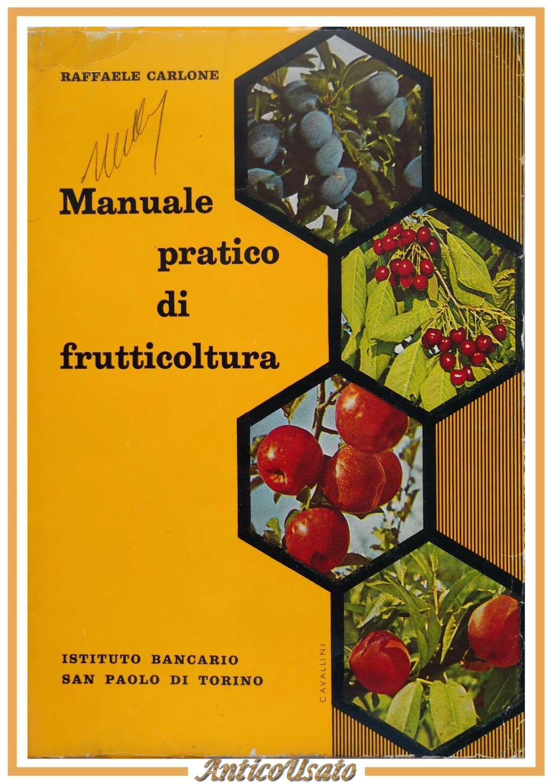 MANUALE PRATICO DI FRUTTICOLTURA Raffaele Carlone 1964 Istituto San Paolo …