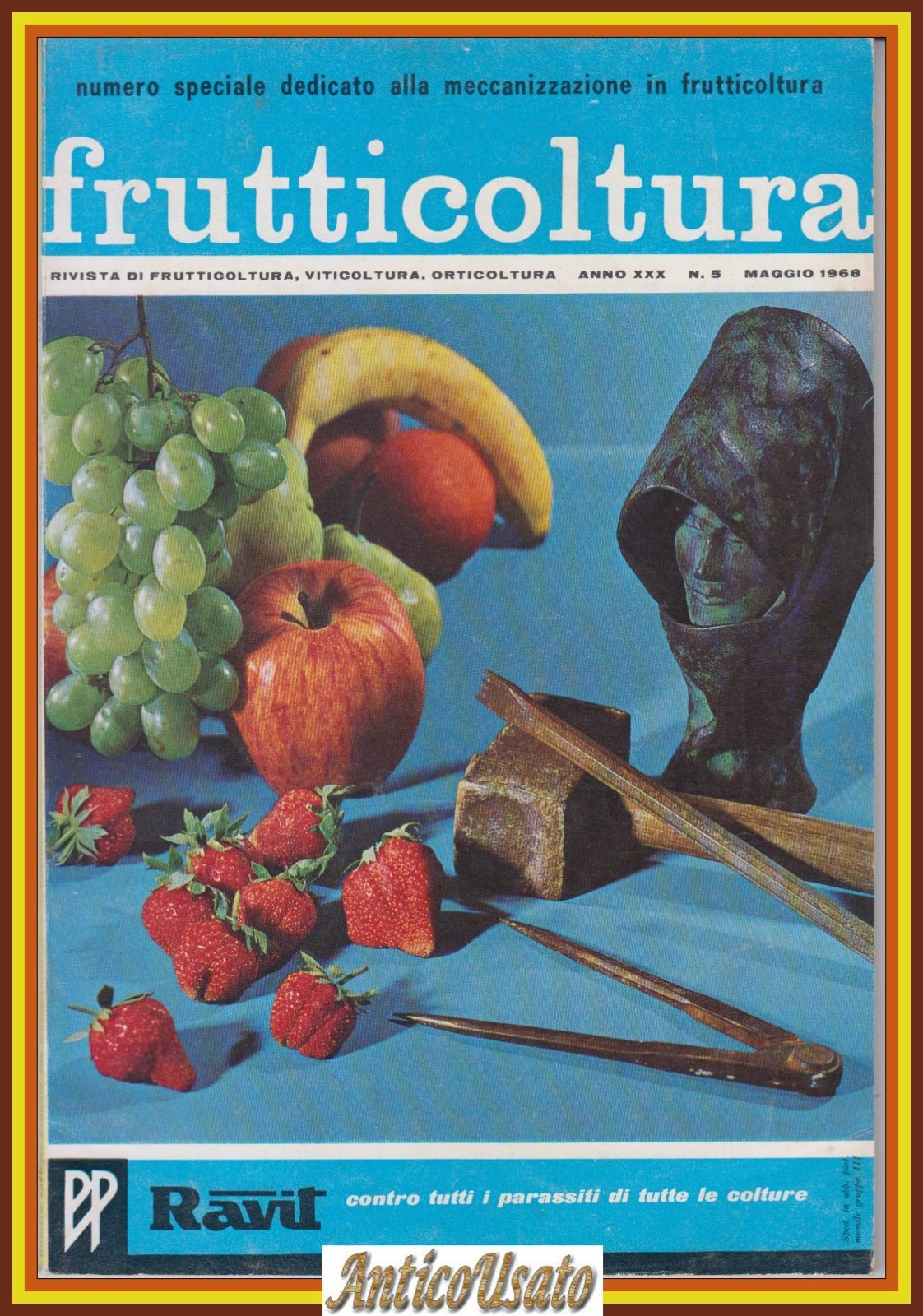 MECCANIZZAZIONE IN FRUTTICOLTURA Rivista di viticoltura orticoltura 1968 Libro